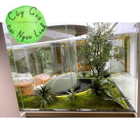 CÂY GIẢ CÔNG TRÌNH NHÀ MẪU 
