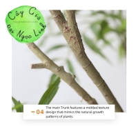 CÂY HOÀNG LIÊN GIẢ TRANG TRÍ NỘI THẤT NL35-2