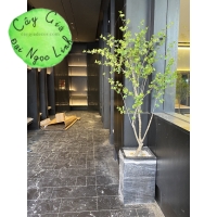 CÂY THẠCH NAM GIẢ 1M8 NL27-6