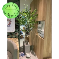  LẨU CLOUD POT- THI CÔNG CÂY GIẢ TAI HỒ CHÍ MINH