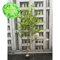 CÂY THẠCH NAM GIẢ 1M8 NL27-6