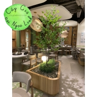  LẨU CLOUD POT- THI CÔNG CÂY GIẢ TAI HỒ CHÍ MINH