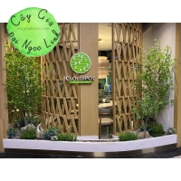 CÂY THẠCH  NAM GIẢ CAO 2M2 NL27-8