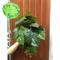 CÂY MINI ĐỂ BÀN NL300-7