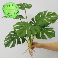 CHẬU CÂY TRẦU BÀ ĐỂ BÀN ĐỂ KỆ NL300-6