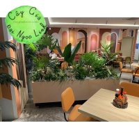 THI CÔNG CÂY GIẢ TẠI SÂN BAY 