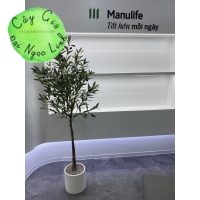 VĂN PHÒNG BẢO HIỂM MANULIFE 