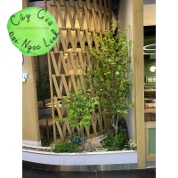  LẨU CLOUD POT- THI CÔNG CÂY GIẢ TAI HỒ CHÍ MINH