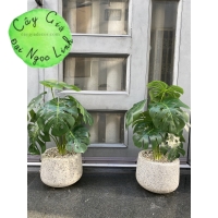 CHẬU CÂY MINI ĐỂ BÀN NL300-9