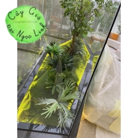 CÂY GIẢ CÔNG TRÌNH NHÀ MẪU 