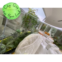 CÂY GIẢ CÔNG TRÌNH NHÀ MẪU 