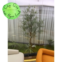 CÂY GIẢ CÔNG TRÌNH NHÀ MẪU 