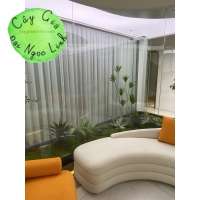 CÂY GIẢ CÔNG TRÌNH NHÀ MẪU 