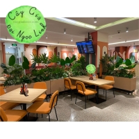 THI CÔNG CÂY GIẢ TẠI SÂN BAY 