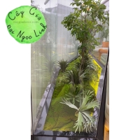 CÂY GIẢ CÔNG TRÌNH NHÀ MẪU 