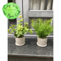 CÂY GIẢ MINI ĐỂ BÀN NL300-4