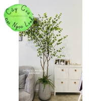 CÂY THẠCH NAM GIẢ NL27-7 CAO 2m