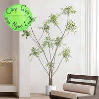 cây hoàng liên trang trí nội thất sang trọng nl35-1