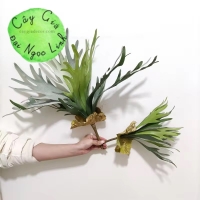 CÂY SỪNG  HƯƠU GIẢ TRANG TRÍ  NL37