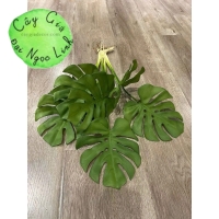 CHẬU CÂY TRẦU BÀ ĐỂ BÀN ĐỂ KỆ NL300-6