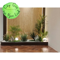 TIỂU CẢNH CÂY GIẢ TRANG TRÍ VĂN PHÒNG