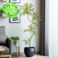 CÂY PHƯỢNG GIẢ TRANG TRÍ PHONG CÁCH BẮC ÂU SANG TRỌNG