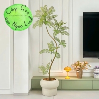 CÂY PHƯỢNG GIẢ TRANG TRÍ PHONG CÁCH BẮC ÂU SANG TRỌNG