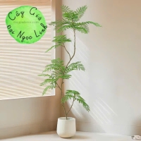 CÂY PHƯỢNG GIẢ TRANG TRÍ PHONG CÁCH BẮC ÂU SANG TRỌNG