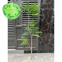 CÂY PHƯỢNG GIẢ TRANG TRÍ PHONG CÁCH BẮC ÂU SANG TRỌNG
