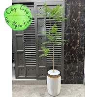 CÂY PHƯỢNG GIẢ TRANG TRÍ PHONG CÁCH BẮC ÂU SANG TRỌNG