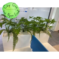 HỘC CÂY GIẢ VĂN PHÒNG NL200-7