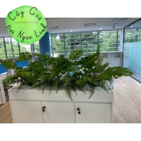 HỘC CÂY GIẢ VĂN PHÒNG NL200-7