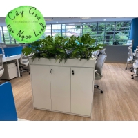 HỘC CÂY GIẢ VĂN PHÒNG NL200-7