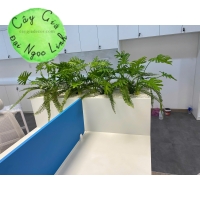 HỘC CÂY GIẢ VĂN PHÒNG NL200-7