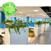 HỘC CÂY GIẢ VĂN PHÒNG NL200-7