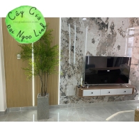 CÂY NAM THIÊN TRÚC 1M7 NL22-9