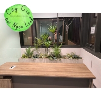 BỒN CÂY GIẢ TRANG TRÍ VĂN PHÒNG NL200-11