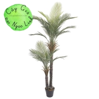 CÂY CHÀ LÀ GIẢ TRANG TRÍ 