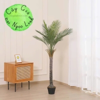 CÂY CHÀ LÀ GIẢ TRANG TRÍ 