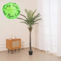 CÂY CHÀ LÀ GIẢ TRANG TRÍ 