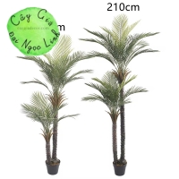 CÂY CHÀ LÀ GIẢ TRANG TRÍ 