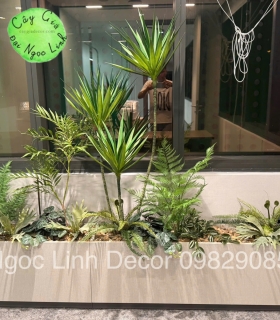 Cây giả đại ngọc linh