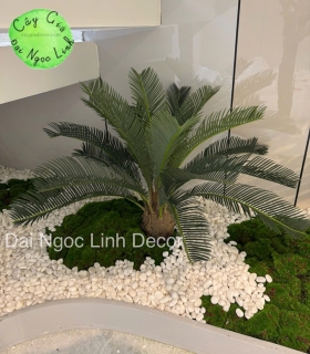 THI CONG CAY CANH GIA TRANG TRÍ