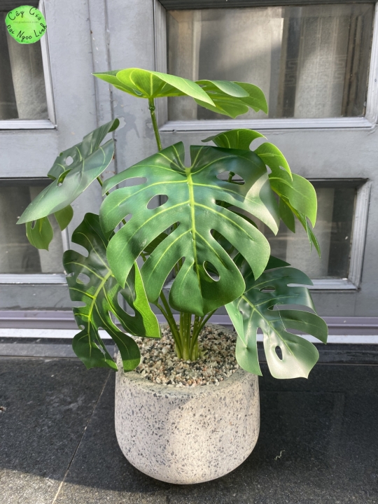 CHẬU CÂY MINI ĐỂ BÀN NL300-9