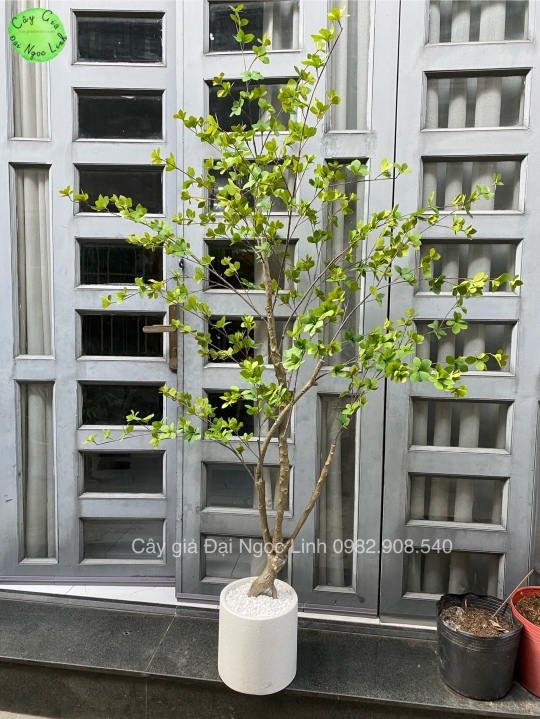 CÂY THẠCH NAM GIẢ 1M8 NL27-6