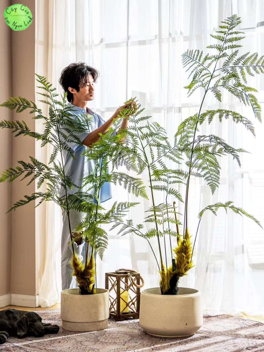 DƯƠNG XỈ CỔ ĐẠI DƯƠNG XỈ LÔNG CULI NL36-1