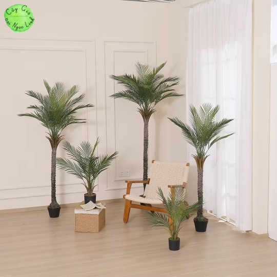 CÂY CHÀ LÀ GIẢ TRANG TRÍ 